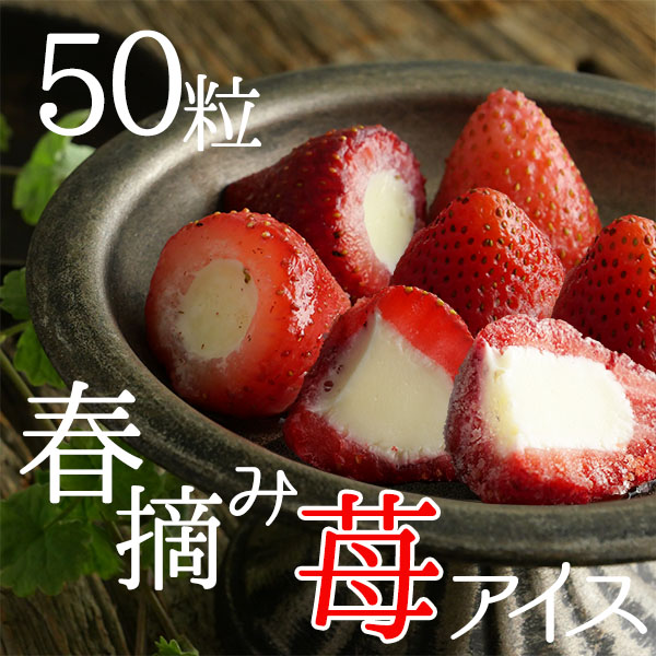 いちごアイス ギフト 苺スイーツ アイス 送料無料 スイーツ プレゼント いちご 誕生日 苺 イチゴ業務用 春摘み苺 (50粒) | 