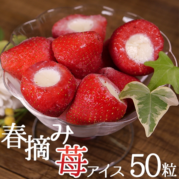 Amazon | ギフトボックス入り 春摘み苺アイス (50粒) | FB