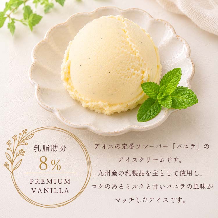 アイス 業務用アイス 弘乳舎 業務用 アイスアイスクリーム 業務用 お花見 バルクアイス ラクトアイス スイーツ おやつ デザート バニラアイスクリーム 2L | 弘乳舎 | 01