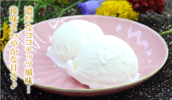 アイスクリーム 業務用アイス ココナッツミルク