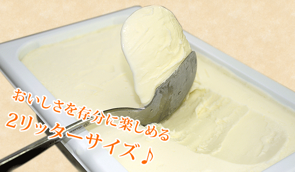アイスクリーム 業務用アイス ココナッツミルク