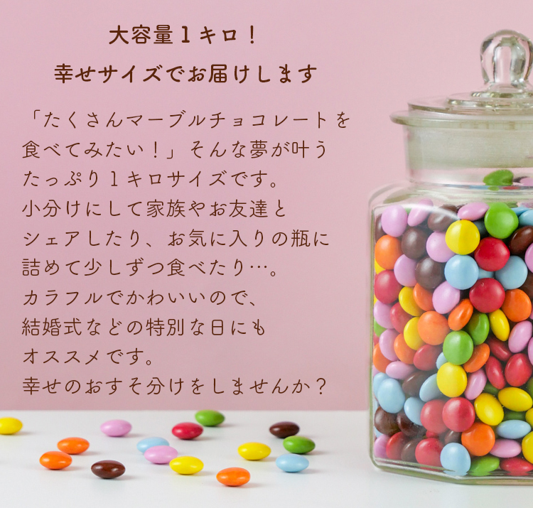 明治 業務用チョコレート コーヒービート