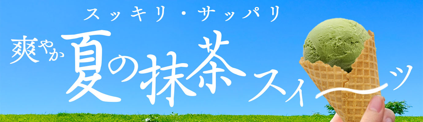 明治（meiji） アイス 業務用アイス 宇治 抹茶 ほろにが宇治抹茶 2L