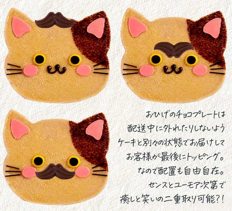 コーヒー チョコ ホールケーキ 猫ケーキ ブチ猫 送料無料