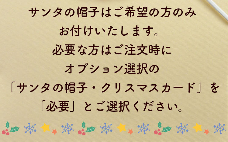 クリスマスケーキ クリスマス 2022 予約 冷凍 プレゼント ギフト スイーツ 送料無料 お菓子 食べ物 猫 ケーキ 猫型 白猫 ネコ  :mei18:フードセレクト FBクリエイト - 通販 - Yahoo!ショッピング