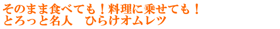 そのまま食べても！料理に乗せてもとろっと名人　ひらけオムレツ