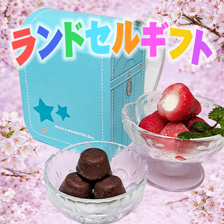 アイス スイーツ ランドセル 春摘み苺アイス＆プチチョコアイス 10粒 個包装 内祝い 入学 2026 御祝い 法人注文 まとめ買い 大量注文 プレゼント のし対応 | 