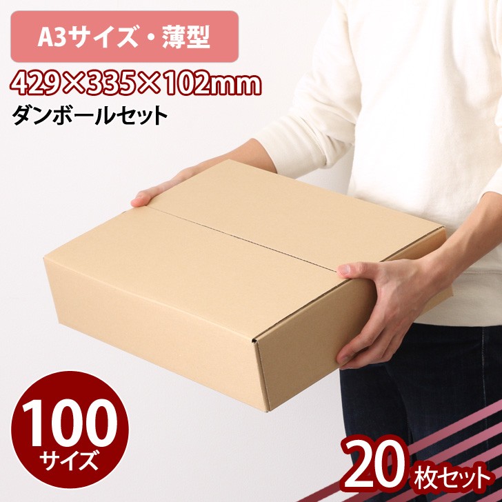 ダンボール 宅配100サイズ 20枚セット A3対応 薄型 中 低 段ボール