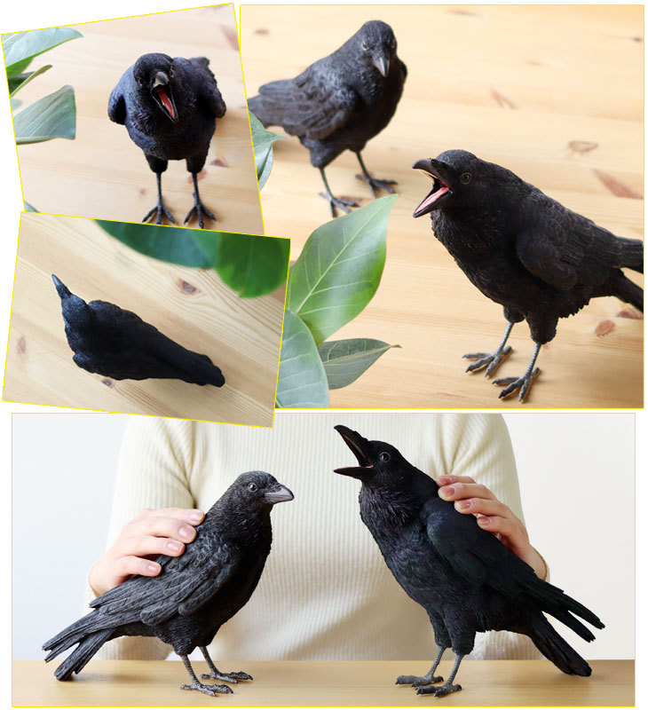 magnet PET BANK CROW ペット バンク カラス（貯金箱 コインバンク