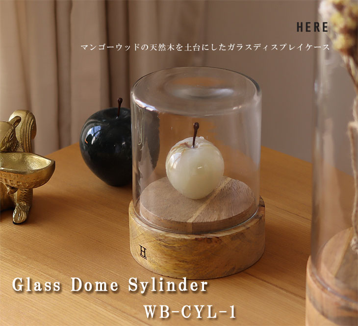 ガラスドーム シリンダー1（ディスプレイケース ガラスケース ショー
