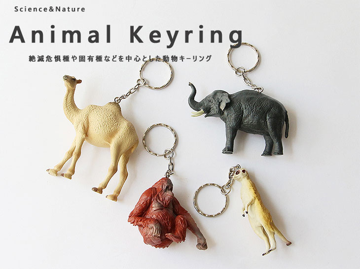 DETAIL（ディテール） Animal Keyring アニマルキーリング（キーリング
