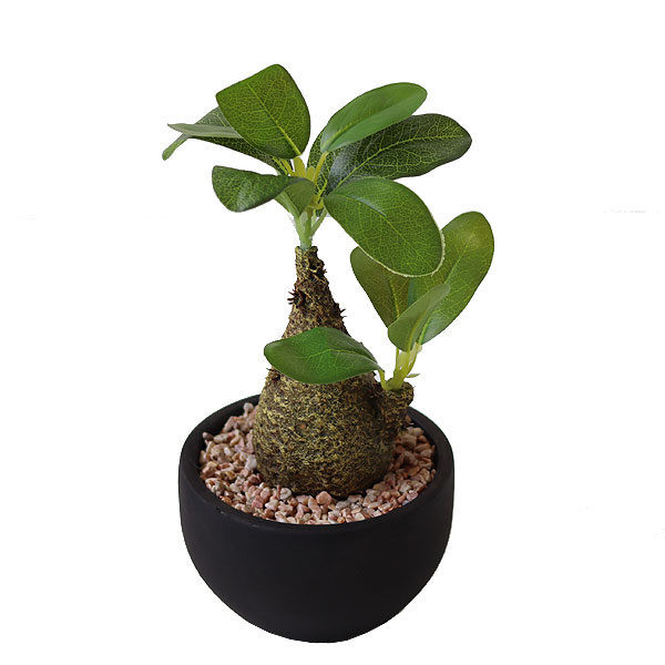 キシマ（KISHIMA） エクリア 消臭アーティフィシャルグリーン