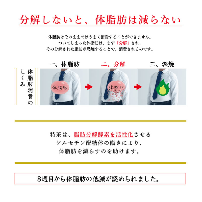 緑茶 特茶 ジャスミン 伊右衛門 500ml 24本【1ケース】ペットボトル お茶 ジャスミン茶 特定保健用食品 サントリー まとめ買い 送料無料｜fcl｜04