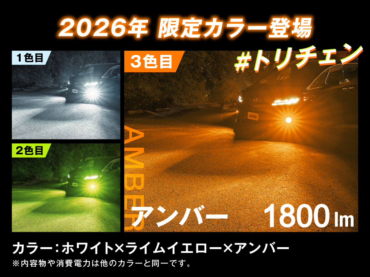 限定最新カラー新登場 エフシーエルだけのアンバー