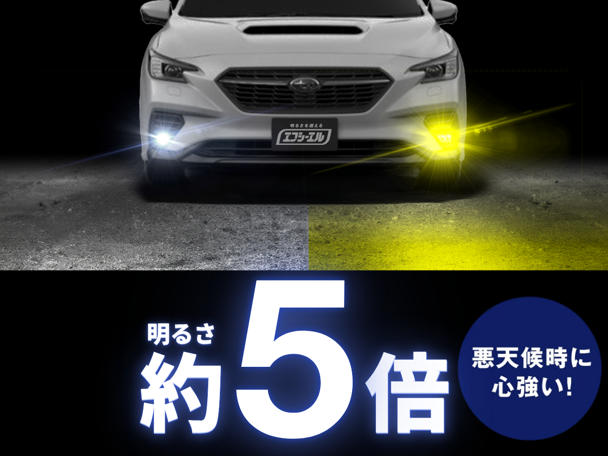 レヴォニック　ゼンダ　5色セット　新品 つり具の上州屋 - あなたのフィッシング＆アウトドアライフを