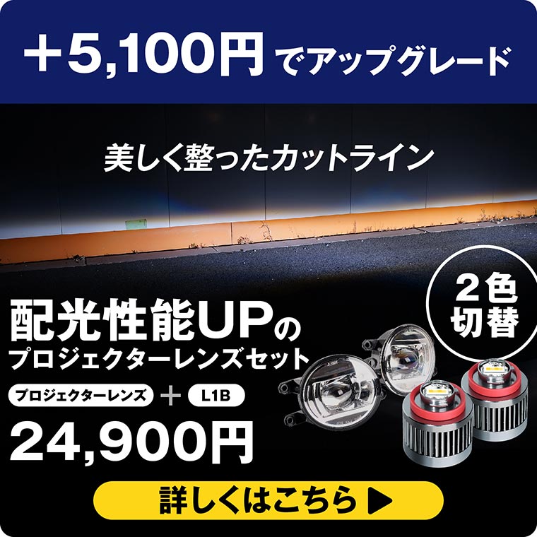 プロジェクタータイプ
