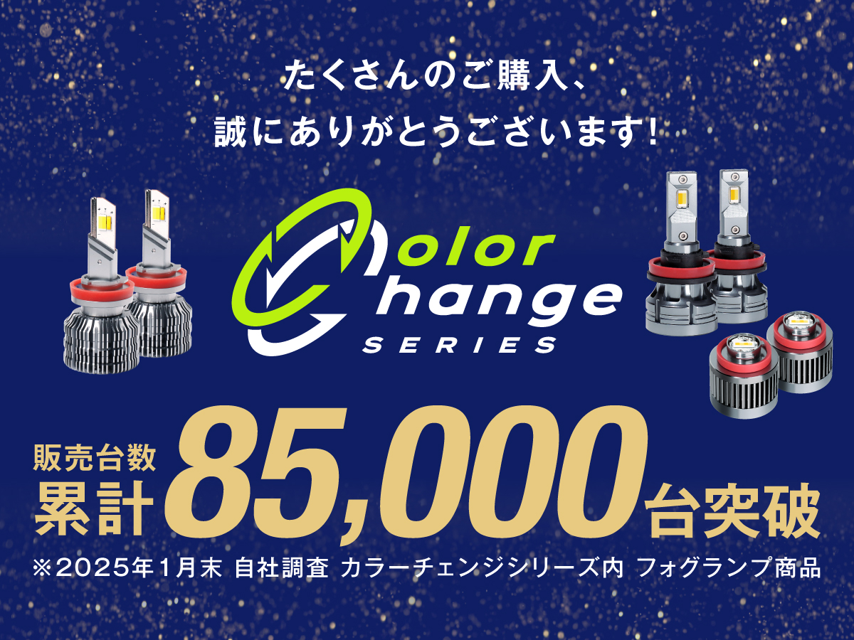 【車検対応】DELTA LED 白&青&ストロボ　リモコン切り替え式フォグ fcl. フォグランプ ユニット 交換 後付け led フォグ 2色