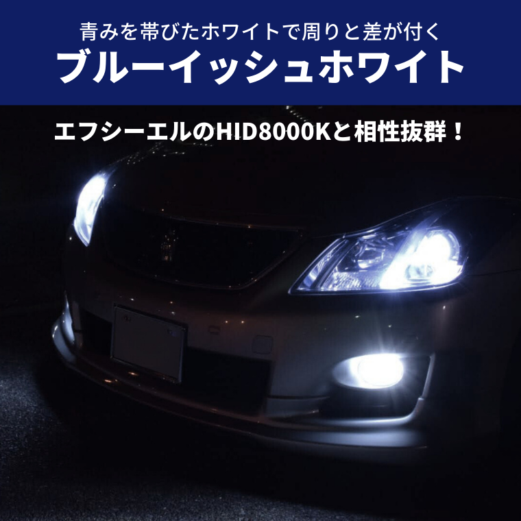 ブルーイッシュホワイト 青み HID 8000K