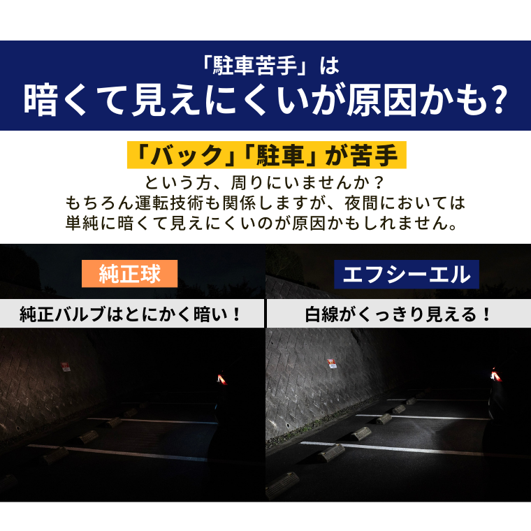 夜間 夜道 白線 車止め くっきり見える