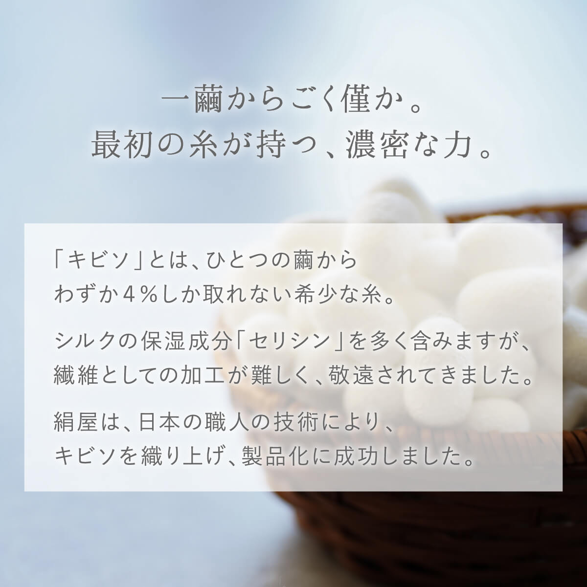 絹屋 ボディ ミトン シルク キビソ セリシン 美容 コスメ 保湿 美肌