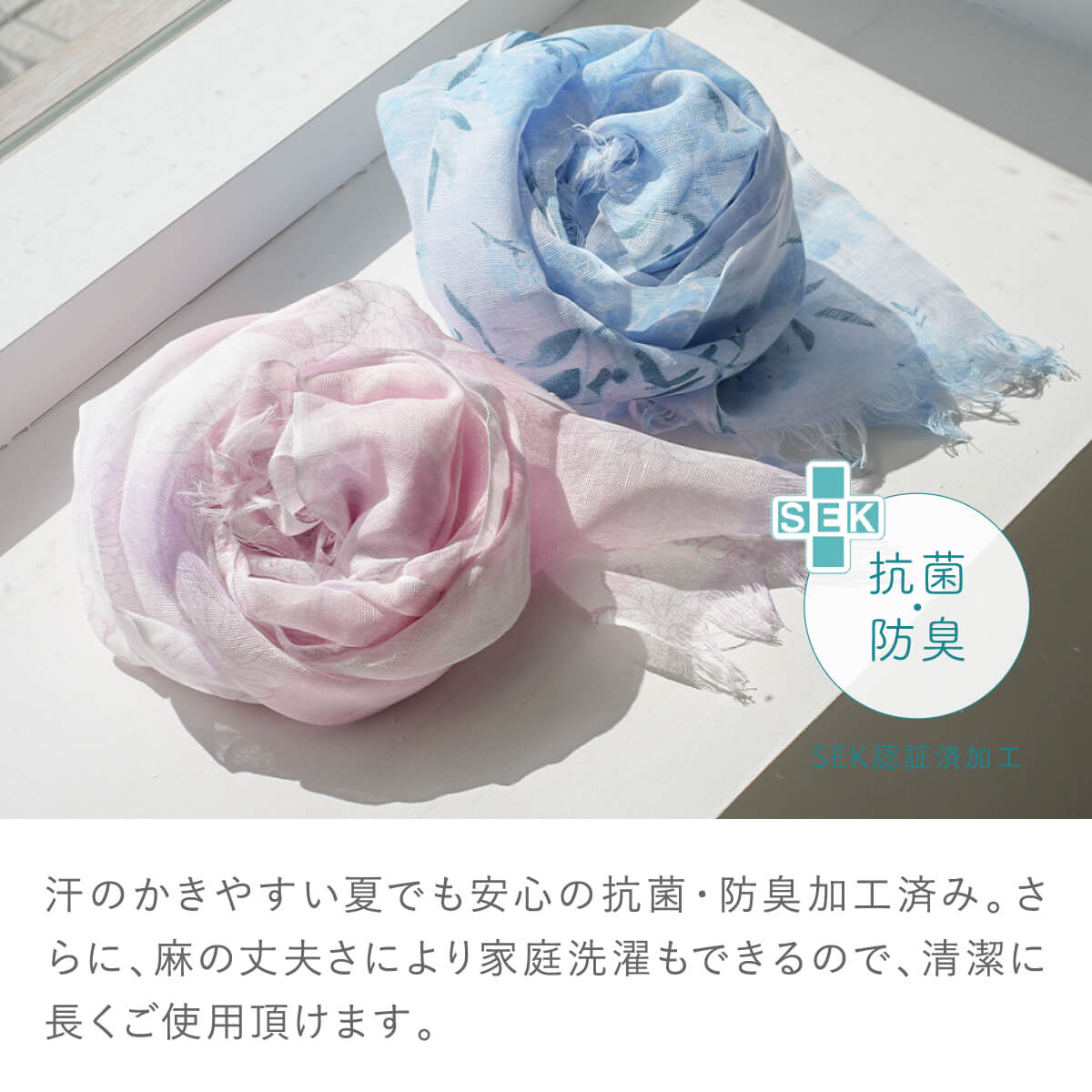 hayashiguchi_ws0025