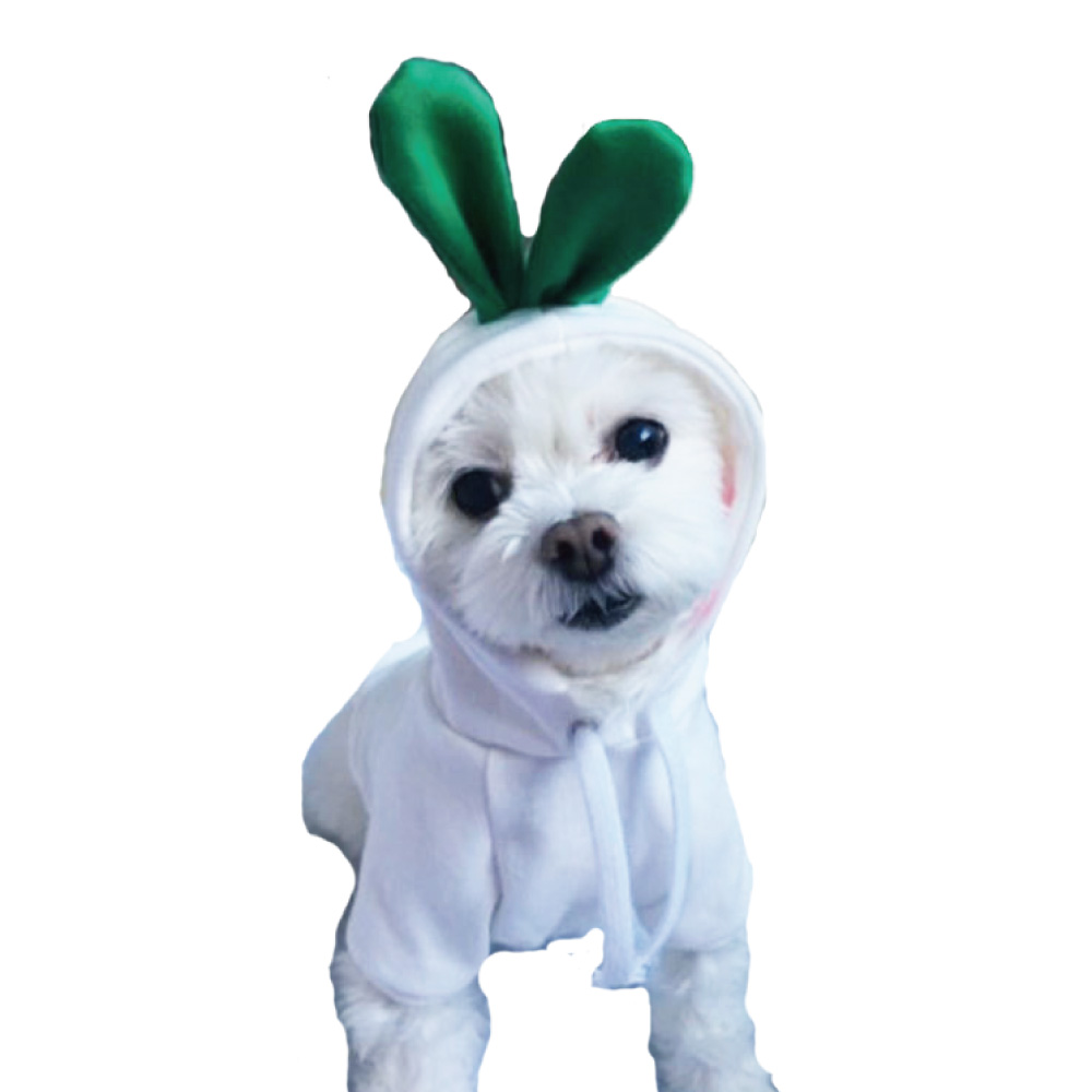 犬服 ねこ服 ペット服 小型犬ドッグウェア コスチューム 犬コスプレ