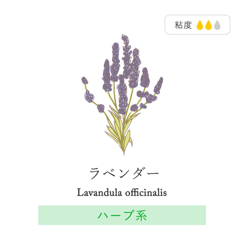 feellife（アロマ） P5倍 アロマオイル ラベンダー 50ml 真正