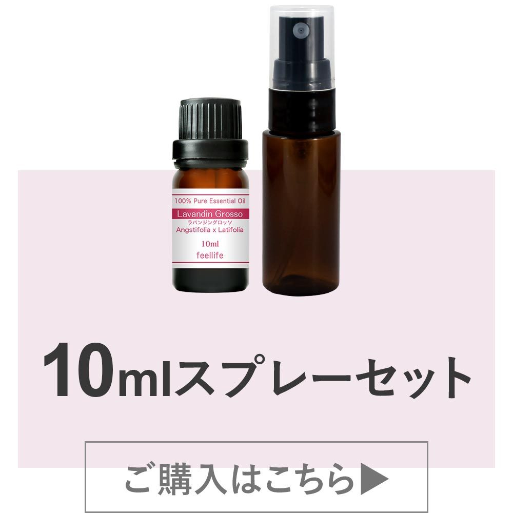 336円 最安価格 ラバンジン グロッソ 50ml 精油 エッセンシャルオイル アロマオイル 336円 最安価格 ラバンジン グロッソ 50ml 精油 エッセンシャルオイル アロマオイル