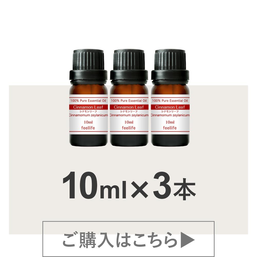 アロマオイル 精油 シナモンリーフ シナモン 10ml 5本 使い方 アロマディフューザー 加湿器 ストーン 天然 エッセンシャルオイル Natu 935 5 香りで彩るくらしfeellifeyahoo 店 通販 Yahoo ショッピング