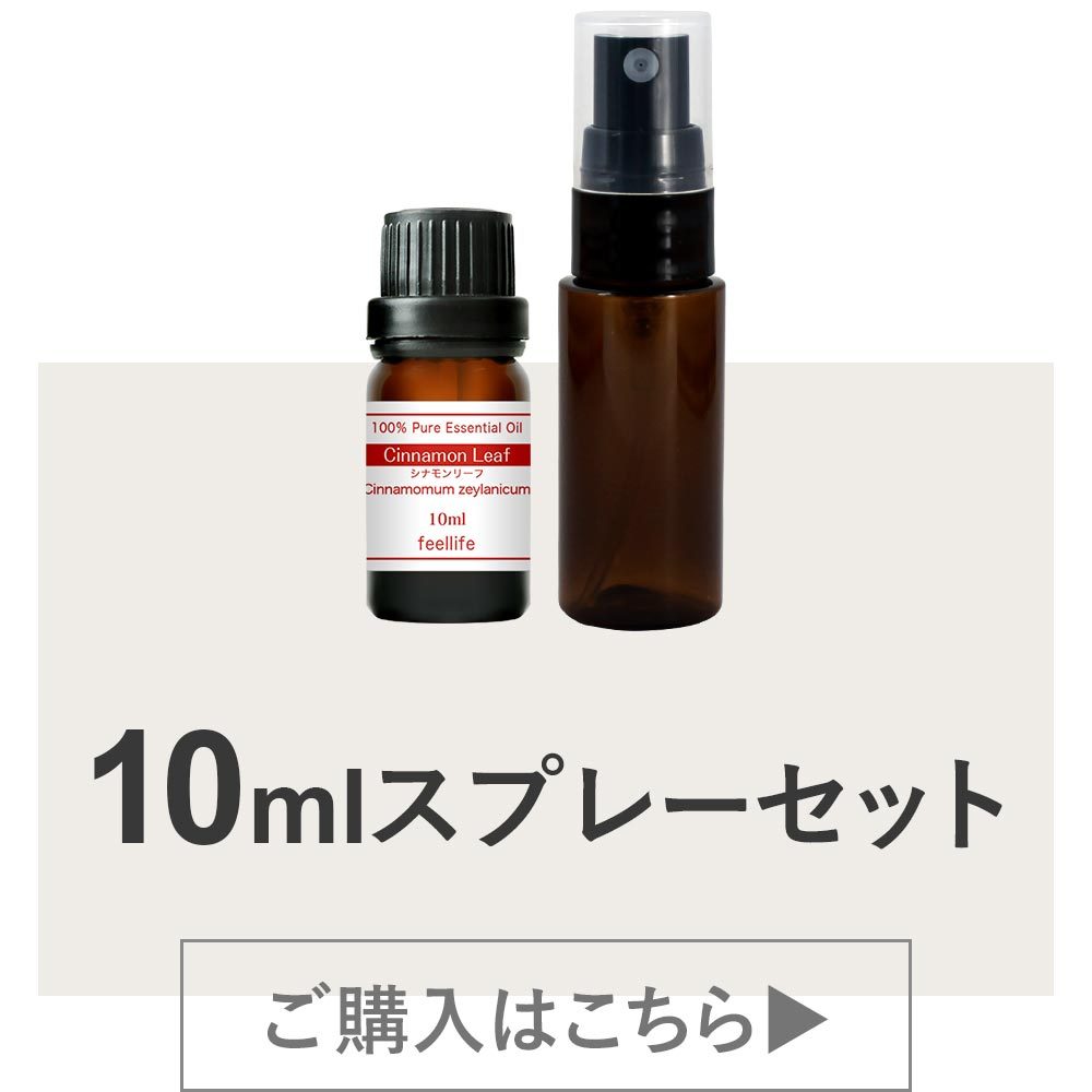 アロマオイル 精油 シナモンリーフ シナモン 10ml 5本 使い方 アロマディフューザー 加湿器 ストーン 天然 エッセンシャルオイル Natu 935 5 香りで彩るくらしfeellifeyahoo 店 通販 Yahoo ショッピング