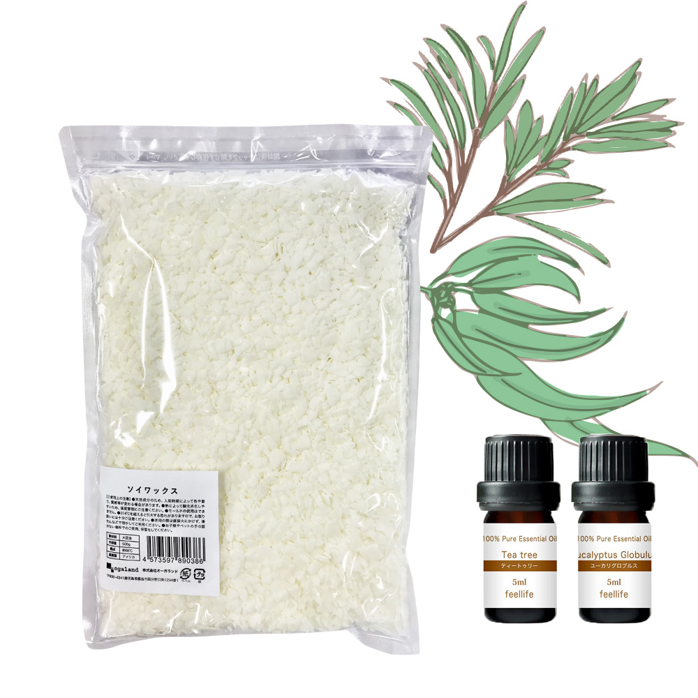 ソイワックス 500g 精油 5ml 2本 セット アロマオイル アロマ