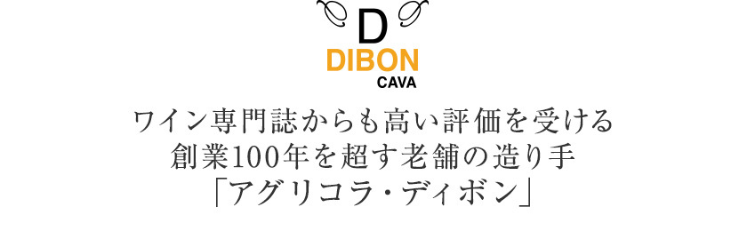 物品 スパークリングワイン スペイン アグリコラ ディボン カヴァ ブリュット リザーヴ 750ml dobrenocki.pl