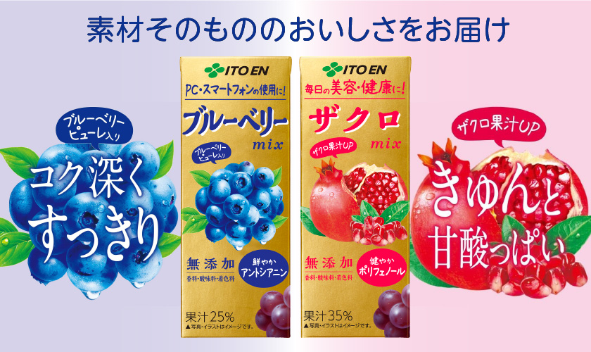 伊藤園 ザクロmix ミックス 200ml 紙パック 24本 1ケース 送料無料