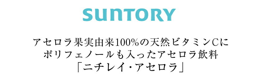 ニチレイ アセロラドリンク 900ml ペットボトル12本 1ケース 送料無料（一部地域除く） :suf0113:フェリシティー ビアウォーター -  通販 - Yahoo!ショッピング