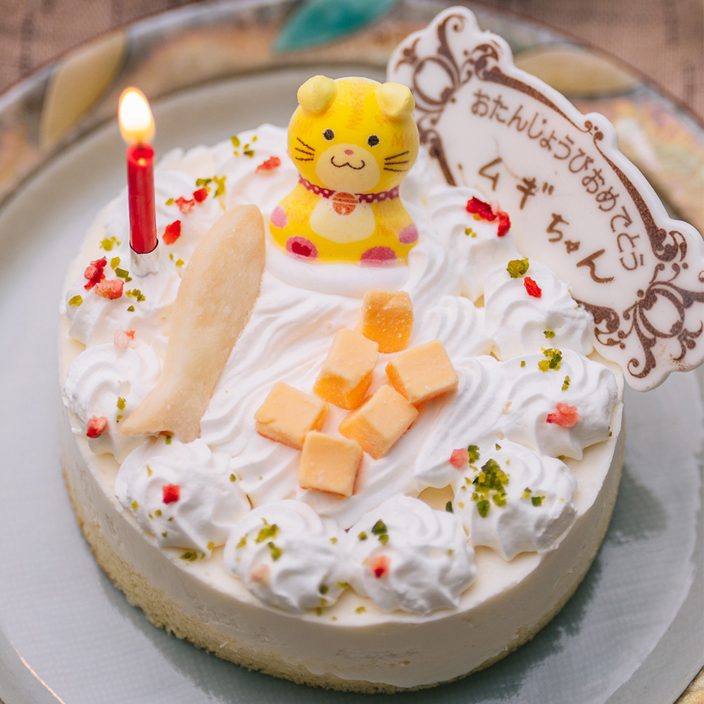 特別価格2198円→1500円(賞味期限6月30日) 猫用 ネコ用 誕生日