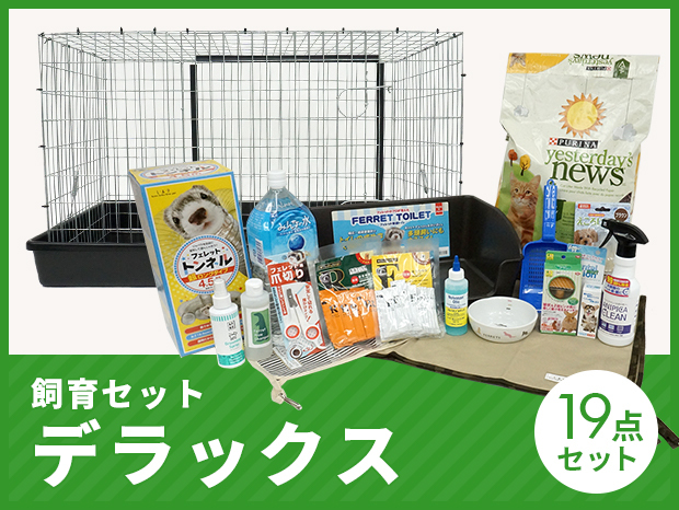 フェレット 飼育セット - その他