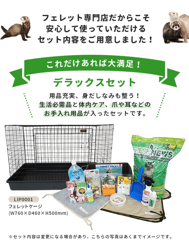 フェレット 飼育セット 送料無料 フェレット飼育セット フェレット