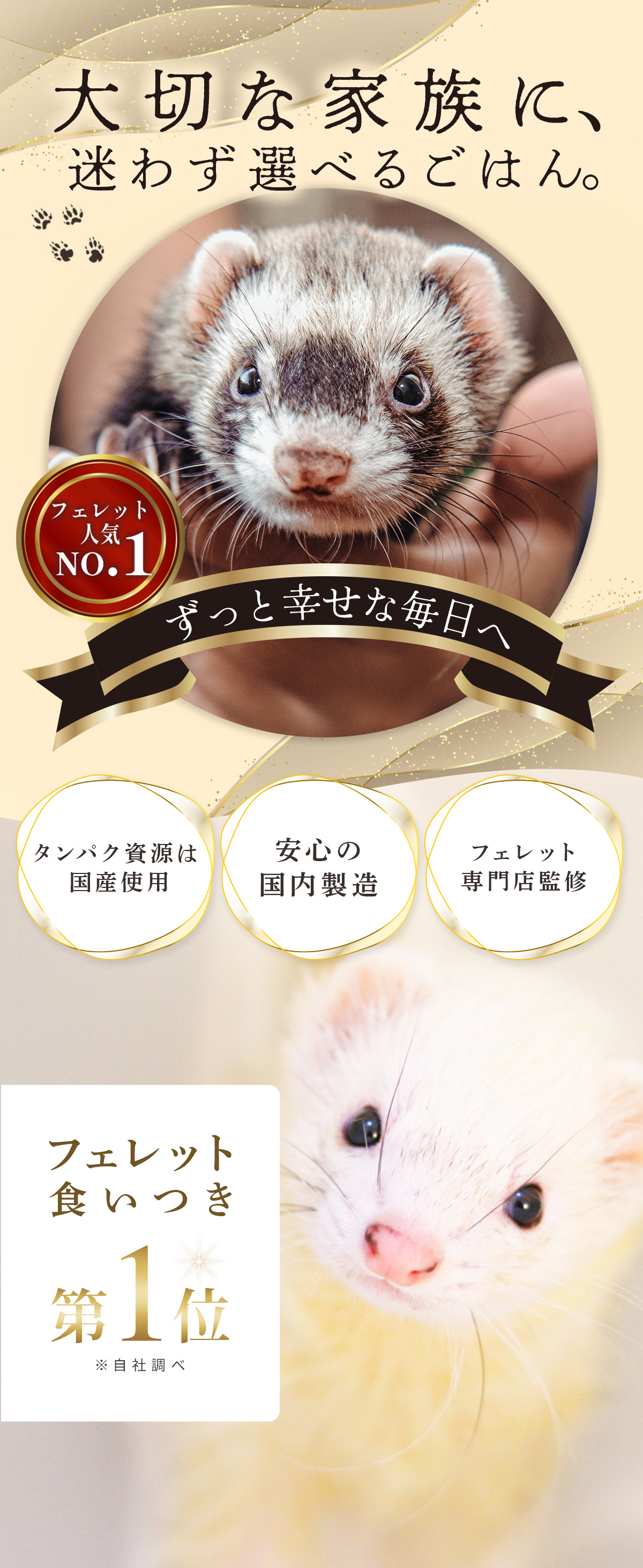 国産フェレットフード