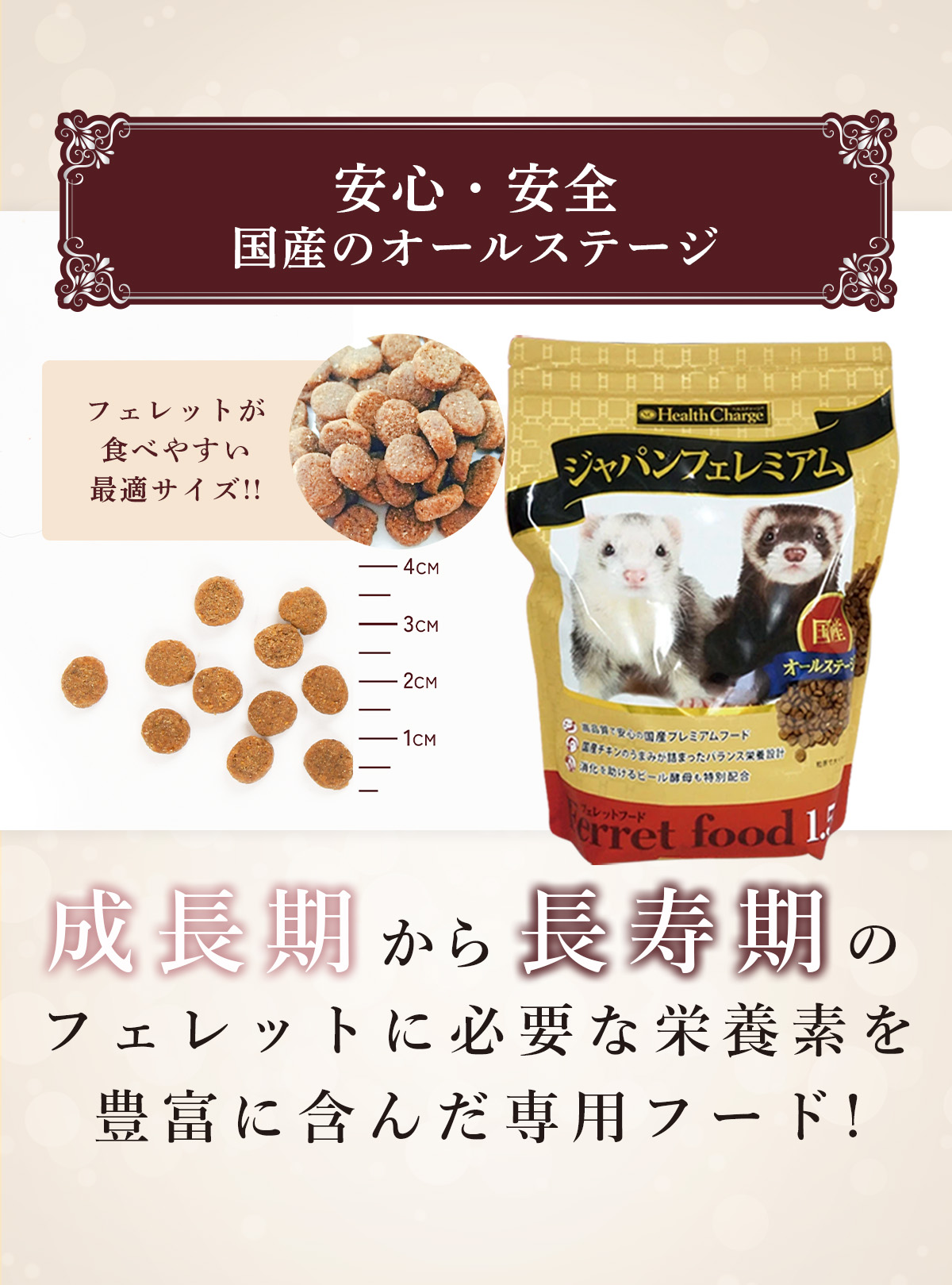 安心・安全のオールステージ