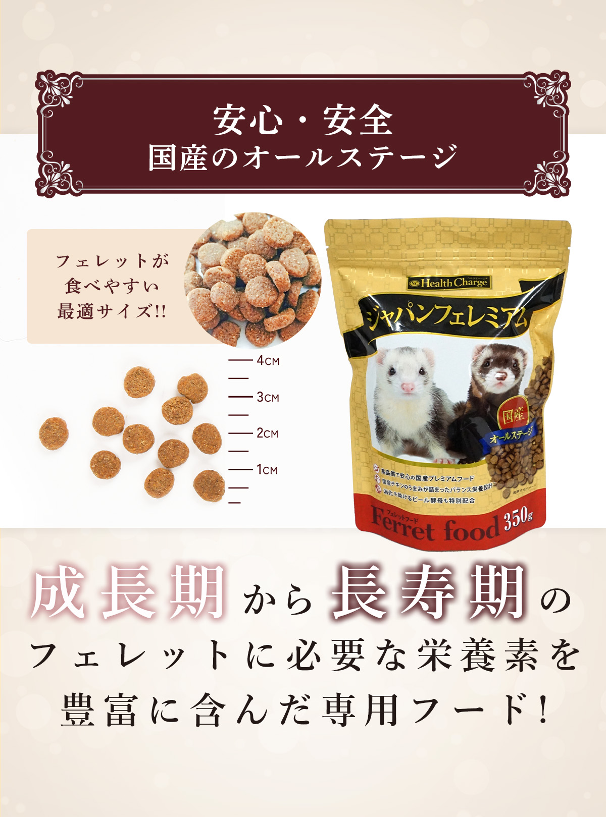 安心・安全のオールステージ