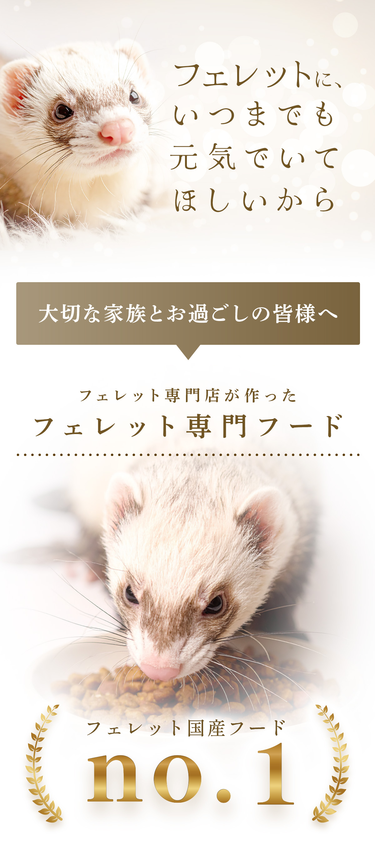 フェレット専門フードNo1