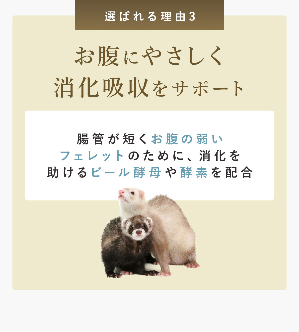 お腹にやさしく消化吸収をサポート