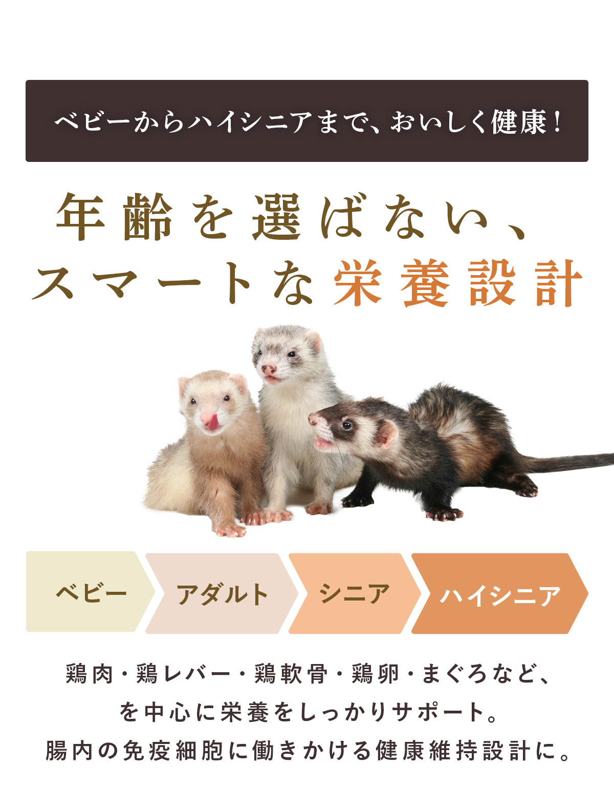 年齢を選ばない、スマートな栄養設計
