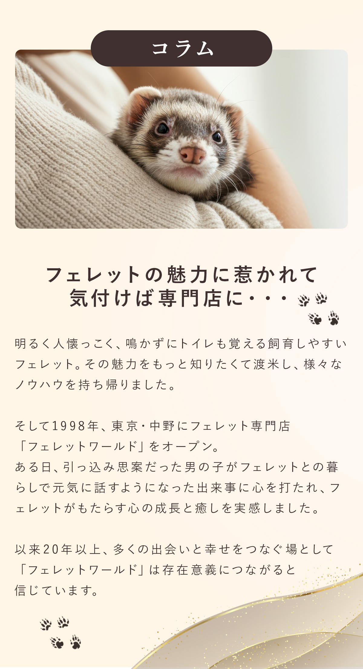 フェレットの魅力に惹かれて気付けば専門店に・・・