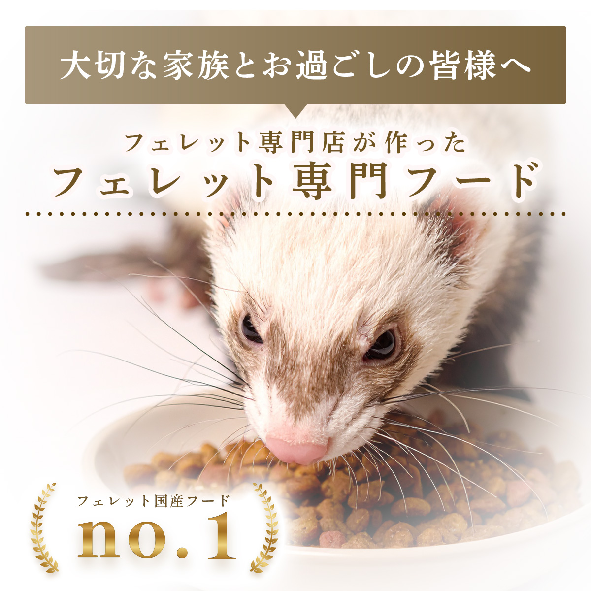 ヘルスチャージ 送料無料 フェレットフード ジャパンフェ