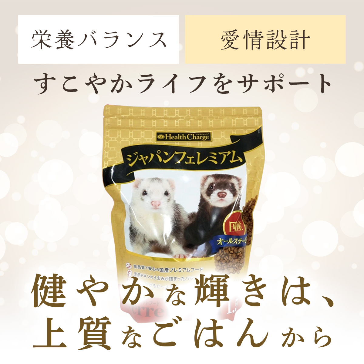 フェレットフードの商品一覧 通販 - Yahoo!ショッピング