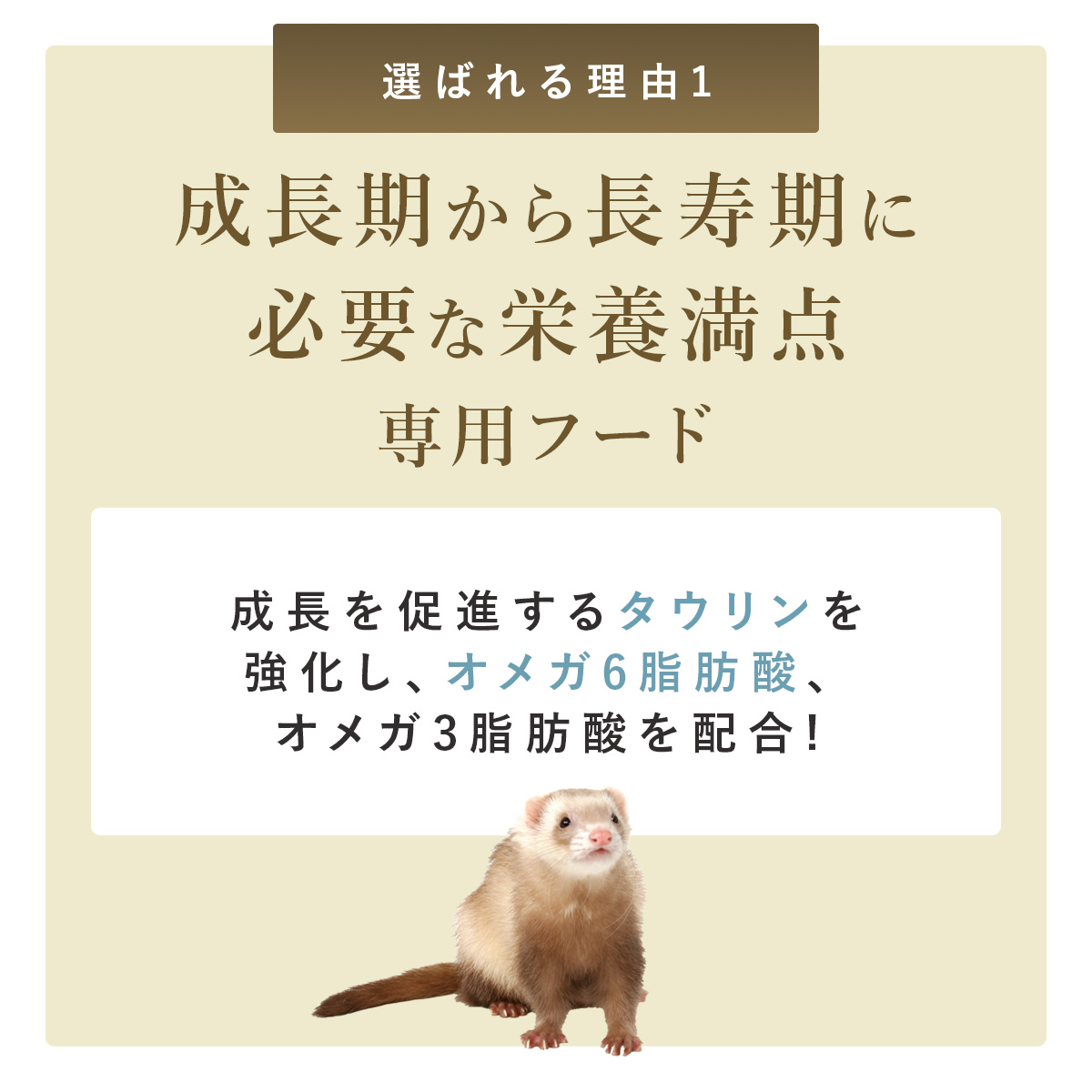 ヘルスチャージ 送料無料 フェレットフード ジャパンフェレミアム1.5kg