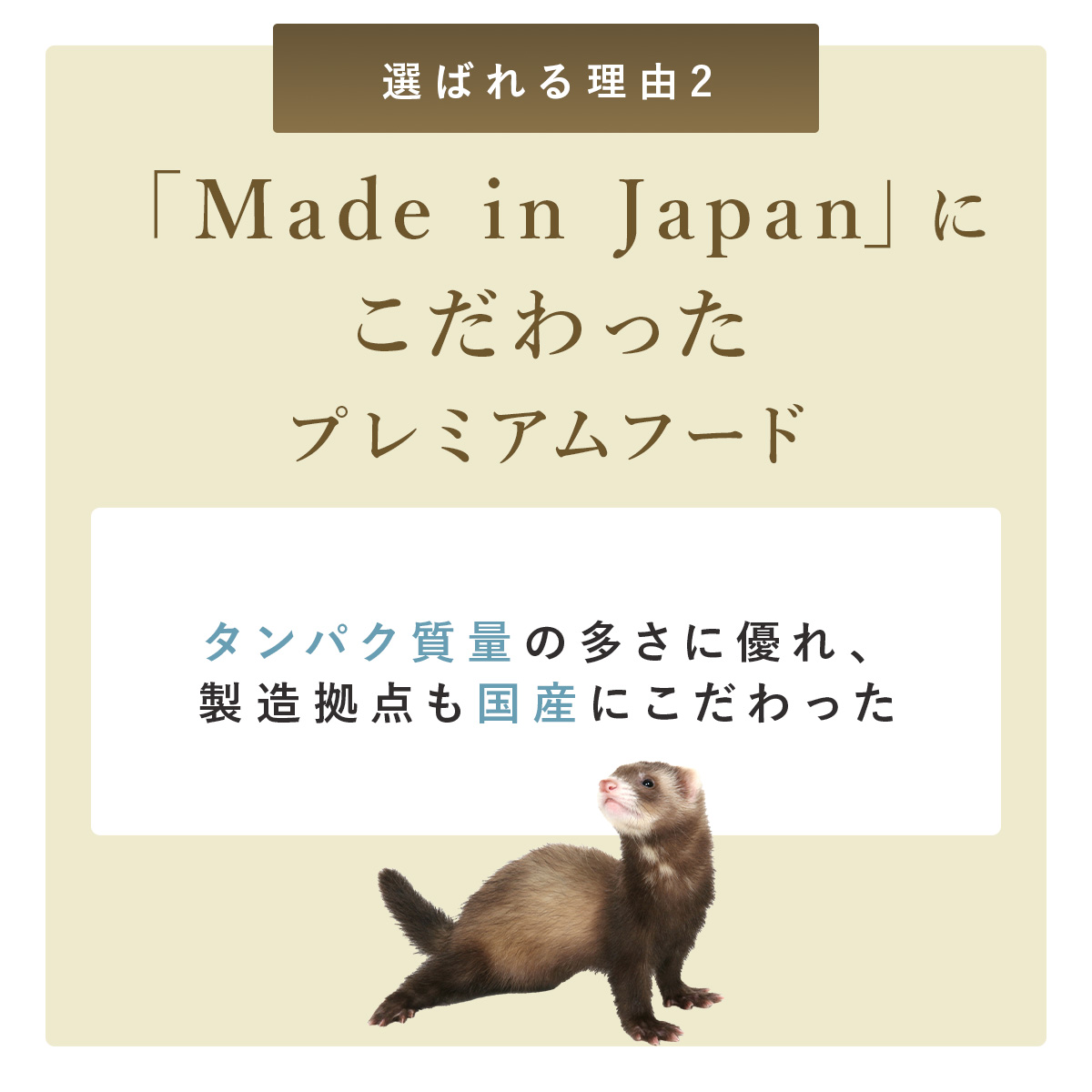 フェレットフードのおすすめ人気商品一覧 通販 - Yahoo!ショッピング