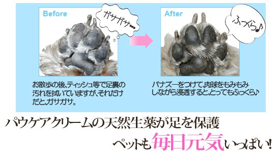 メイン5