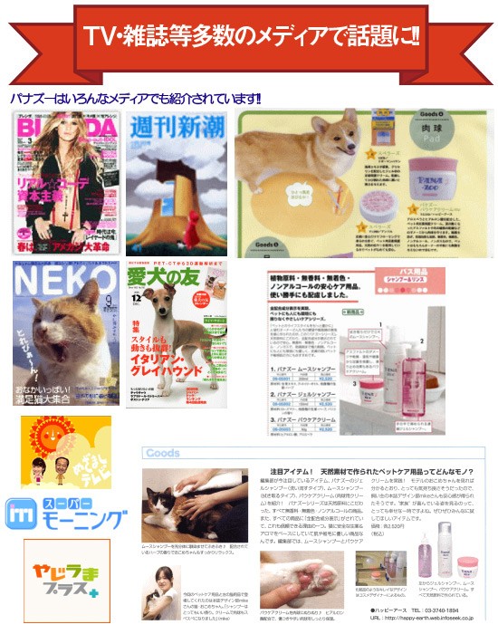 メイン7